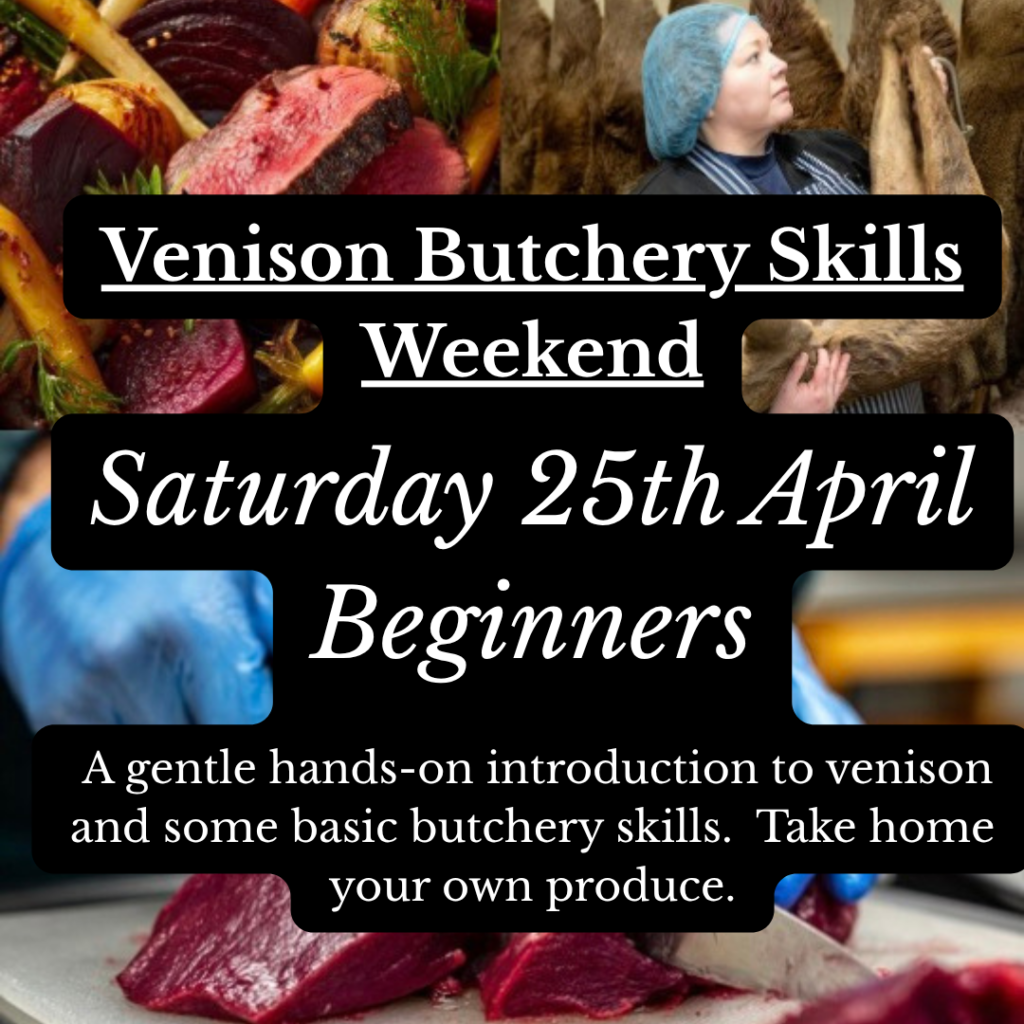 Venison Butchey Beginners Class